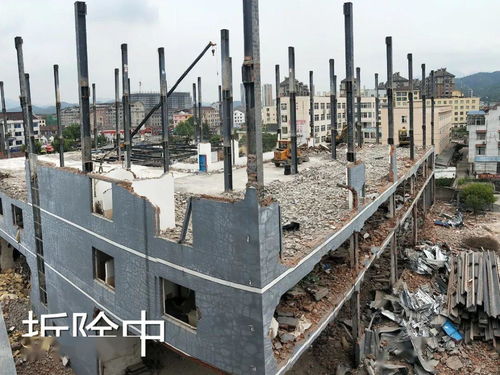 违法私建厂房伪造印章，某家具厂“任性”施工引关注